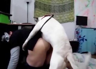 يقدم بول تيرير غير الصبور تدريبًا مكثفًا للمهبل إلى MILF الهواة