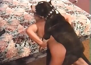 Curvy blonde cougar gets sexually dominated by Pit Bull in heat