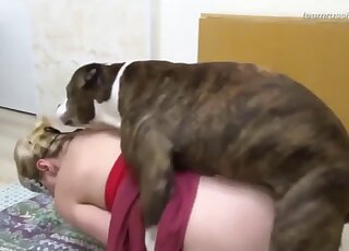 لا يستطيع بيتبول غير الصبور الانتظار لضرب الشقراء الناضجة ذات المؤخرة الكبيرة