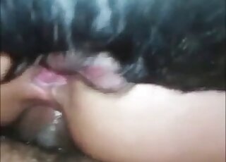 فيلم اختراق مزدوج مع كلب صغير يمارس الجنس مع مؤخرتها