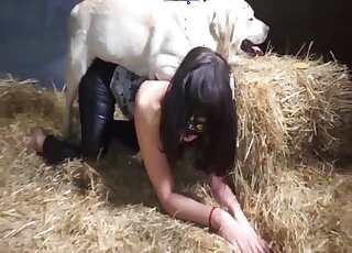 Brunette wife loves the tasty dog dick so deep in her creamy cunt