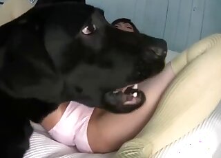 ياباني يستمتع بحيوانات منوية الكلاب على وجهه بعد انحرافات جنسية