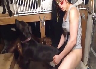 رجل شهواني يمارس الجنس مع كلبه في مؤخرته ويسجل المحنة بأكملها