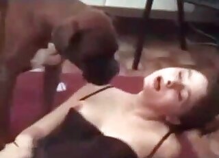 Black dog gladly starts licking wet pussy hole of an aroused babe