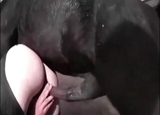 Horse fucks dude's ass and cums inside his tight hole during zoo porn