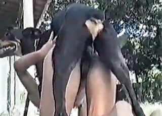 Brazilian slut moans loudly while being fucked by a black doggie