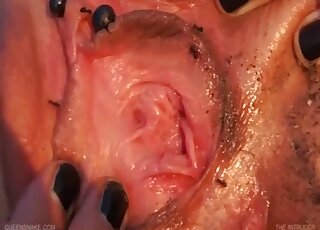 Skinny female feels ants crawling on her cunt and clit