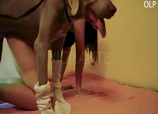 Brunette amateur cam fucked by a dog in brutal zoo scenes