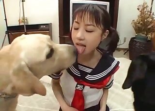 مراهقة يابانية تلعق مؤخرة الكلبين وتستمتع بخيالها الجنسي مع الحيوانات