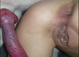 عاهرة مراهقة تقذف السائل المنوي بعد أن يمارس الكلب معها الجنس بشكل جيد للغاية