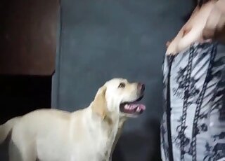 سمراء تمارس سحرها على ذكور الخنازير في ممارسة جنسية وحشية