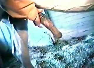 يستمتع محبو الحيوانات بأداء وظيفة يدوية لحصان أثناء تصوير مشاهد إباحية في حديقة الحيوانات