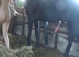 هاوية ذات ثديين كبيرين تهبط بقضيب حصان ضخم في مهبلها الرطب