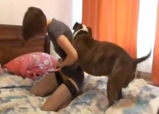 Thin babe leans on the bed with her dog for some nasty zoo rounds