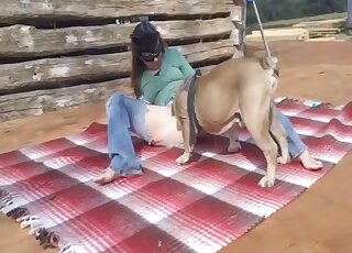 First time when this tight wife feels real dog penis in her wet pussy