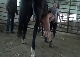 Slutty blonde wife tries to throat the horse cock and then fuck