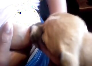 امرأة هاوية ذات صدر كبير ترضع جروًا صغيرًا وتشعر بالإثارة الشديدة