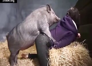 امرأة سمراء ترتدي ملابس في ممارسة الجنس الوحشي مع خنزير