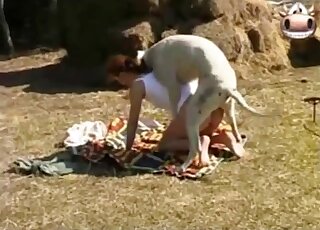 Big dog fucks amateur woman's wet cunt in sunny outdoor XXX scenes