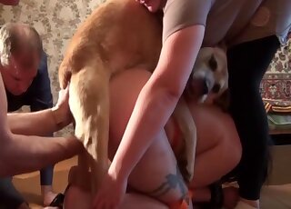 فيلم فوضوي عن الحيوانات مع فتاة تمارس الجنس على أربع في الأماكن العامة