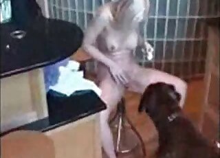 Slender blonde gets her pussy licked by a dog during hot zoo porn