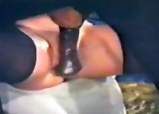 فرج رطب لعاهرة حيوانية منحرفة تتحمل اختراقًا عميقًا في صور إباحية لحديقة الحيوانات