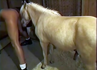 فيلم رائع مع مهر يحب ضرب النساء في الظلام