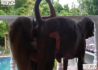 سيدة لاتينية تنجح في إغواء كلبين بمجرد إظهار جسدها