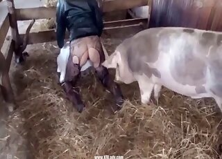 Pantyhose-wearing chick is ready to let pig fuck her from behind