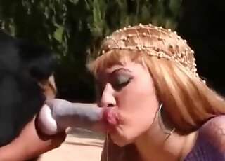 فتاتان عاهرتان تحبان الحيوانات تمتصان قضيب الكلب بكل سرور في جلسة جنسية XXX مثيرة