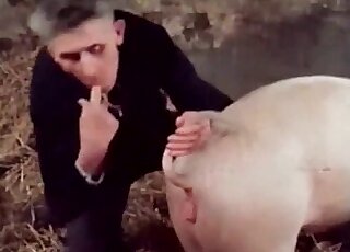 Mature zoophile decides to fuck a pig next to a naked blond bitch