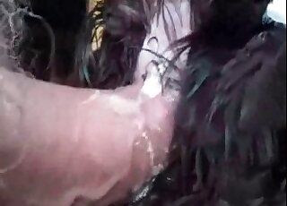 رجل منحرف يمارس الجنس مع كلب في جلسة جنسية مثيرة