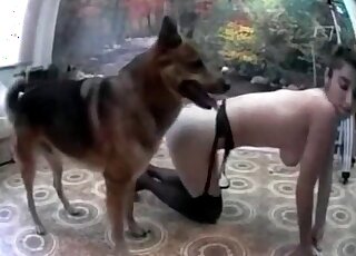 امرأة سمراء مثارة تغوي كلبها ليمارس الجنس معها من الخلف في المنزل