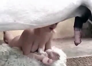 عاهرة شقراء تمتص قضيب الحصان أثناء مشاهدة فيلم إباحي عاطفي عن الحيوانات