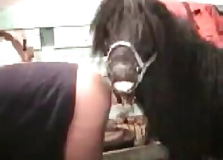 Chubby whore gets fucked hard from behind by a horse in zoo porn