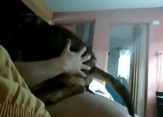Dude gives us sideways view of his dog bouncing on his huge peen