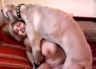 Big-breasted blonde in sexy lingerie enjoying cowgirl-style zoo sex