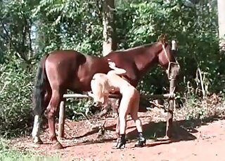 أخيرًا، يجد التشويق ذو المنحنيات المذهلة طريقة لإغواء هذا الحصان