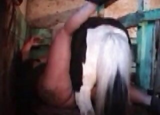 Pony porn movie showing a chubby MILF that bangs a hot animal