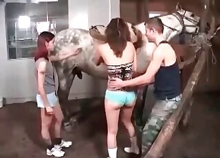 سيدة ذات شعر أحمر تلحس قضيب هذا الحيوان في مقطع فيديو جماعي