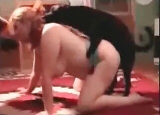 سيدة فاتنة ترتدي جوارب سوداء تمارس الجنس مع ساقيها مفتوحتين قليلاً