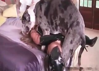 كلب دلماسي ضخم يمارس الجنس مع فتاة منحرفة في وضعية التبشير