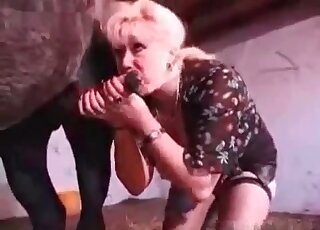 عاهرة ناضجة تهز قضيب الفحل لتجعله ينزل على ثدييها