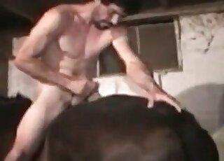 Nasty dude licks and fucks a huge horse in beastiality scene