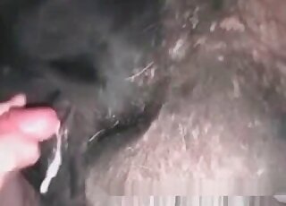 رجل منحرف يعطي قبضة ولحس في عمل حديقة الحيوان الوحشية