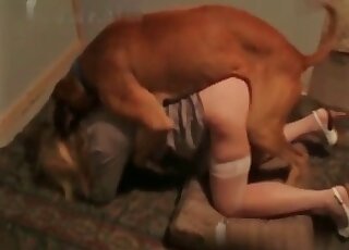 Aged wife is eager to get her wet cunt banged by her canine