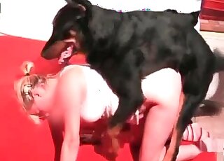 Trained dogs enjoy pink pussy of a submissive girl in a zoo porn action