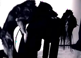 ممارسة الجنس في حديقة الحيوانات الساخنة مع امرأة سمراء مثيرة وكلبها الأليف المتلهف