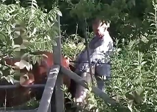 منحرف ذو عقلية قذرة يمارس الجنس مع حصان في مقطع فيديو إباحي مجنون للحيوانات