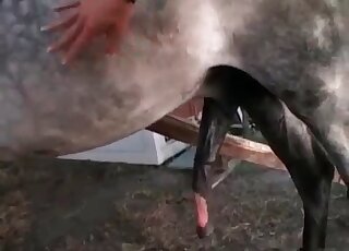 فتاة نحيفة تستمني في مهبلها بينما تعطي مصًا ساخنًا لفحل